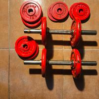 Manubri 10 kg ciascuna 