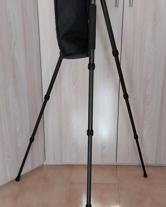 cavalletto fotografico neweer carbon