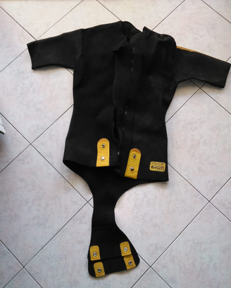 Muta d'epoca della Pirelli