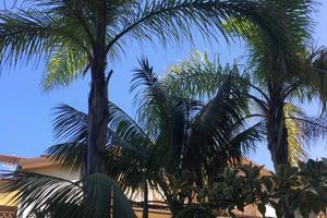 Longobardi cs casa con giardino vicino al mare