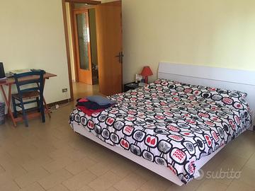 Camere singole in appartamento condiviso