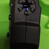 viridian Ruger