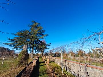 Agriturismo San Lorenzo Nuovo