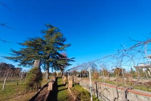 Agriturismo San Lorenzo Nuovo