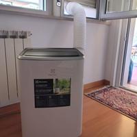 condizionatore portatile Electrolux exp26u338cw