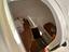 Immagine 20