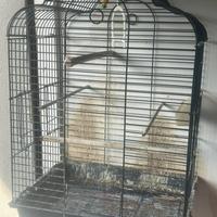 Gabbia per pappagalli