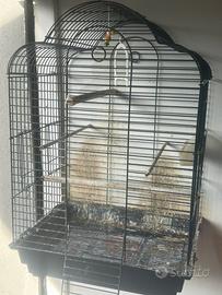 Gabbia per pappagalli