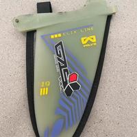 Pinna Windsurf
