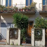 Piante di varia grandezza