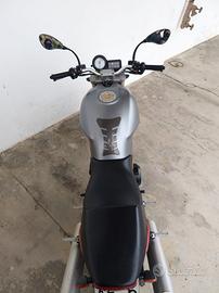 ducati Monster 600