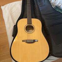 Chitarra Acustica SX
