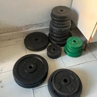 Dischi ghisa palestra