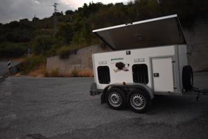 Rimorchio trasporto animali vivi