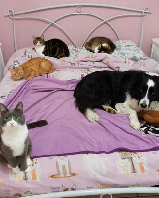 Letto ferro battuto