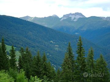 Ampio appartamento per vacanze