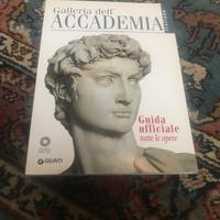 Giunti Editore Galleria dell'Accademia. Guida