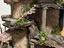 Immagine 5