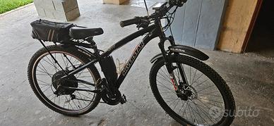 bicicletta elettrica 