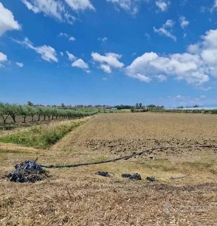 Immobile in asta di 32500 m² a Eboli - Vista 4