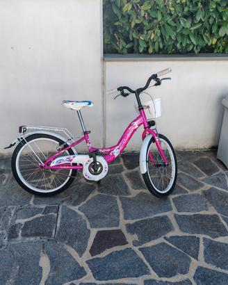 bicicletta raggio 20