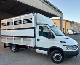 Iveco Daily 35c13 trasporto animali vivi patente B