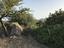 Immagine 2