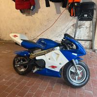 MINIMOTO 49CC CON CHIAVE