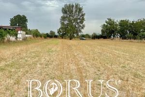 Terreno agricolo di 4015 mq zona Casignano BR254