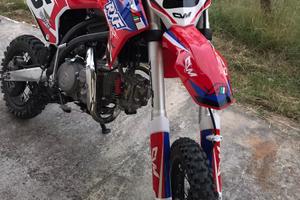 Pit Bike RXF ELITE 150cc Apollo