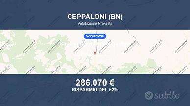 Immobile in asta di 2811 m² a Ceppaloni
