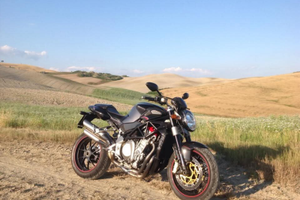 Brutale Starfighter Titanium 23/23