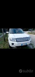 Freelander  2ª serie