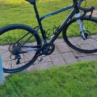 Gravel bergamont