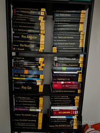 Libri sviluppo software