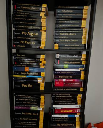 Libri sviluppo software