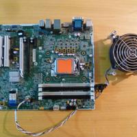 Scheda madre HP Carver Socket 1155 funzionante