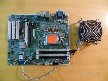 Scheda madre HP Carver Socket 1155 funzionante