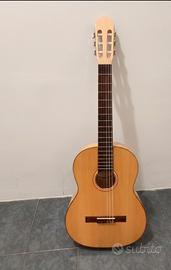 Chitarra ProNatura Silver mancini+Cover Gewa