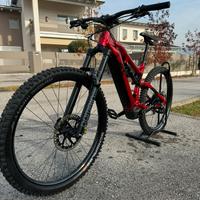 Ebike raymon trailray 160