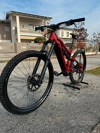 Ebike raymon trailray 160