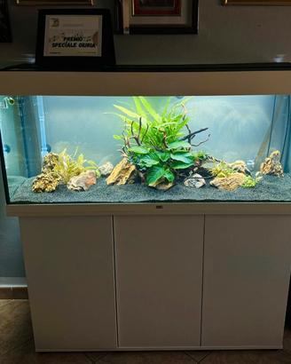 Acquario Juwel 240
