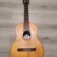 Chitarra brasiliana Di Giorgio