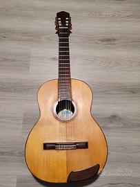 Chitarra brasiliana Di Giorgio