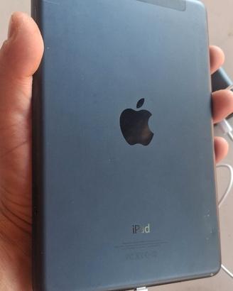 Ipad mini