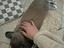 Immagine 1
