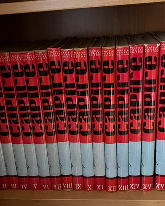 Enciclopedia “CAPIRE” anni 70