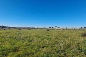 Terreno Agricolo Nettuno [Via CoratoVCG]