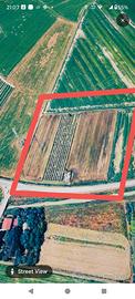 Terreno agricolo