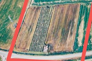 Terreno agricolo